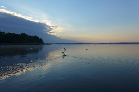 Plus de cas de grippe aviaire en Meuse