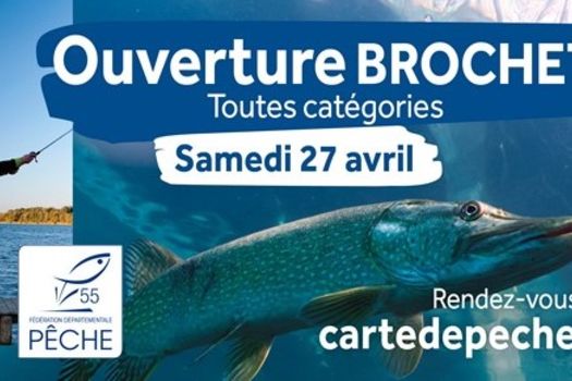 Pêche du brochet