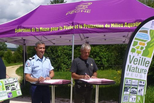 Dispositif « Veille Nature »