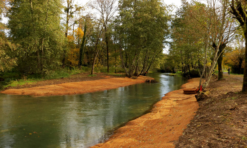 Restauration hydromorphologique de la Saulx, à Haironville