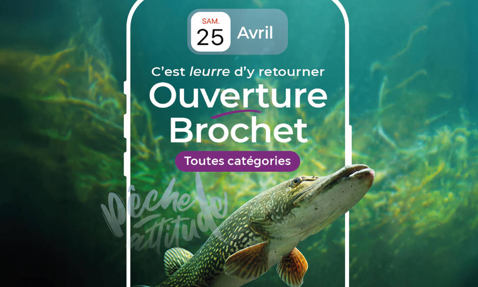  Ouverture du brochet, toutes catégories