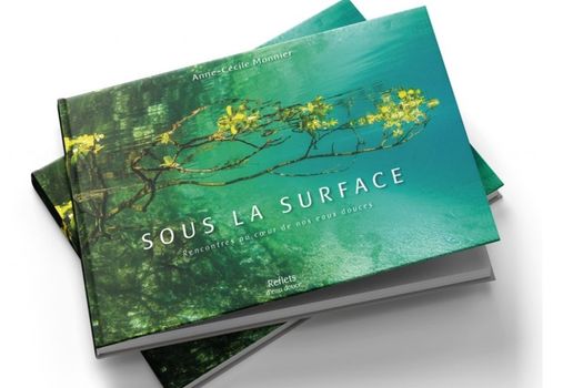 Découvrez l'Ornain et la Meuse 