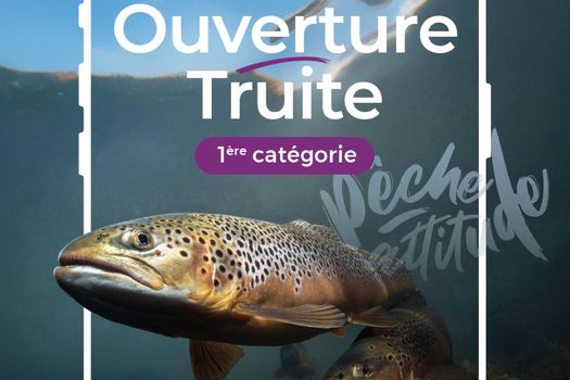 C'est l'ouverture de la truite...